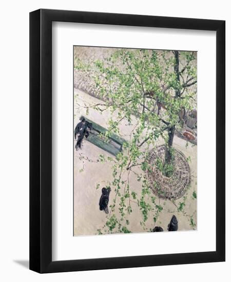 The Boulevard Viewed from Above, 1880-Gustave Caillebotte-Framed Premium Giclee Print