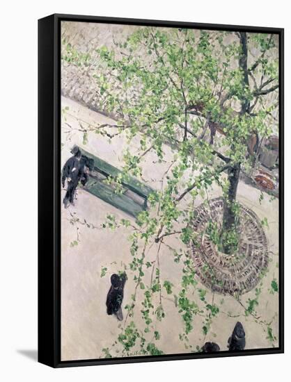The Boulevard Viewed from Above, 1880-Gustave Caillebotte-Framed Stretched Canvas