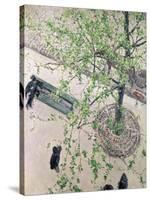 The Boulevard Viewed from Above, 1880-Gustave Caillebotte-Stretched Canvas