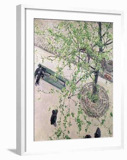 The Boulevard Viewed from Above, 1880-Gustave Caillebotte-Framed Giclee Print