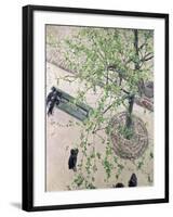 The Boulevard Viewed from Above, 1880-Gustave Caillebotte-Framed Giclee Print