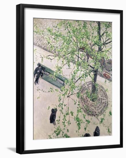 The Boulevard Viewed from Above, 1880-Gustave Caillebotte-Framed Giclee Print