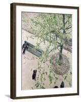 The Boulevard Viewed from Above, 1880-Gustave Caillebotte-Framed Giclee Print