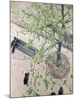 The Boulevard Viewed from Above, 1880-Gustave Caillebotte-Mounted Giclee Print