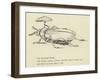 The Bountiful Beetle-Edward Lear-Framed Giclee Print