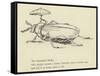 The Bountiful Beetle-Edward Lear-Framed Stretched Canvas