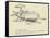 The Bountiful Beetle-Edward Lear-Framed Stretched Canvas