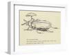 The Bountiful Beetle-Edward Lear-Framed Giclee Print