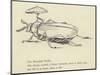 The Bountiful Beetle-Edward Lear-Mounted Giclee Print