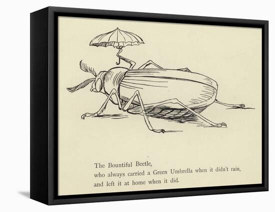 The Bountiful Beetle-Edward Lear-Framed Stretched Canvas