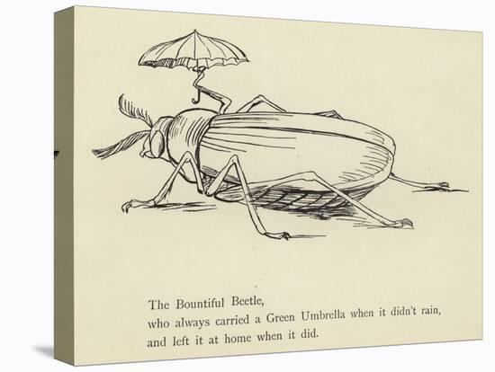 The Bountiful Beetle-Edward Lear-Stretched Canvas