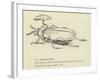 The Bountiful Beetle-Edward Lear-Framed Giclee Print