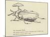 The Bountiful Beetle-Edward Lear-Mounted Giclee Print