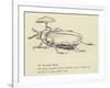 The Bountiful Beetle-Edward Lear-Framed Giclee Print