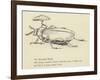 The Bountiful Beetle-Edward Lear-Framed Giclee Print