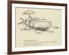 The Bountiful Beetle-Edward Lear-Framed Giclee Print