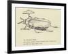 The Bountiful Beetle-Edward Lear-Framed Giclee Print