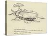 The Bountiful Beetle-Edward Lear-Stretched Canvas