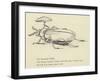 The Bountiful Beetle-Edward Lear-Framed Premium Giclee Print