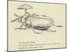 The Bountiful Beetle-Edward Lear-Mounted Premium Giclee Print