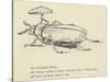 The Bountiful Beetle-Edward Lear-Stretched Canvas