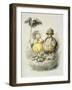 The Bourgeois of Paris-Amedee Varin-Framed Giclee Print