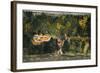 The Bower of Quiet Passion, C.1750-Nihal Chand-Framed Giclee Print