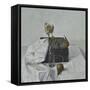 The Box and Rotten Pears, 1990-Arthur Easton-Framed Stretched Canvas