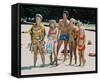 The Brady Bunch-null-Framed Stretched Canvas