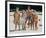 The Brady Bunch-null-Framed Photo