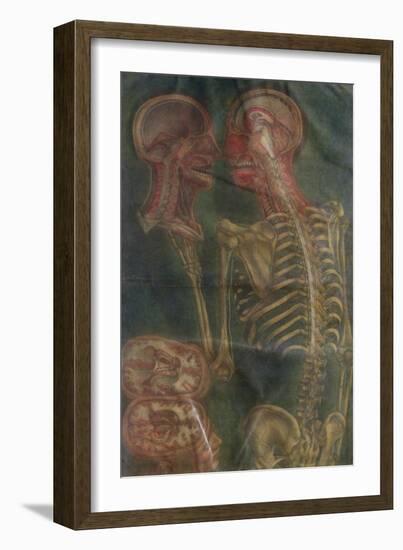The Brain and the Spinal Chord, from "Exposition Anatomique De La Structure Du Corps Humain," 1759-Jacques Fabien Gautier d'Agoty-Framed Giclee Print