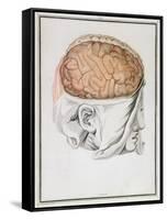 The Brain, from 'Traite D'Anatomie De Cerveau' by Felix Vicq D'Azyr (1748-94) 1786-Allais-Framed Stretched Canvas