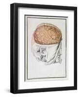 The Brain, from 'Traite D'Anatomie De Cerveau' by Felix Vicq D'Azyr (1748-94) 1786-Allais-Framed Premium Giclee Print