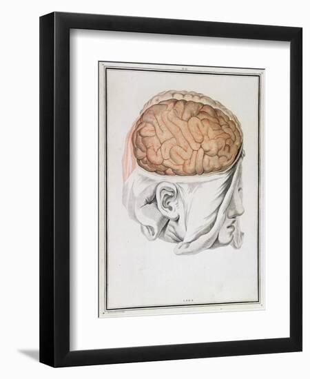 The Brain, from 'Traite D'Anatomie De Cerveau' by Felix Vicq D'Azyr (1748-94) 1786-Allais-Framed Premium Giclee Print