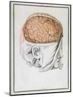 The Brain, from 'Traite D'Anatomie De Cerveau' by Felix Vicq D'Azyr (1748-94) 1786-Allais-Mounted Premium Giclee Print