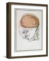The Brain, from 'Traite D'Anatomie De Cerveau' by Felix Vicq D'Azyr (1748-94) 1786-Allais-Framed Giclee Print