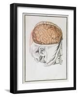 The Brain, from 'Traite D'Anatomie De Cerveau' by Felix Vicq D'Azyr (1748-94) 1786-Allais-Framed Giclee Print