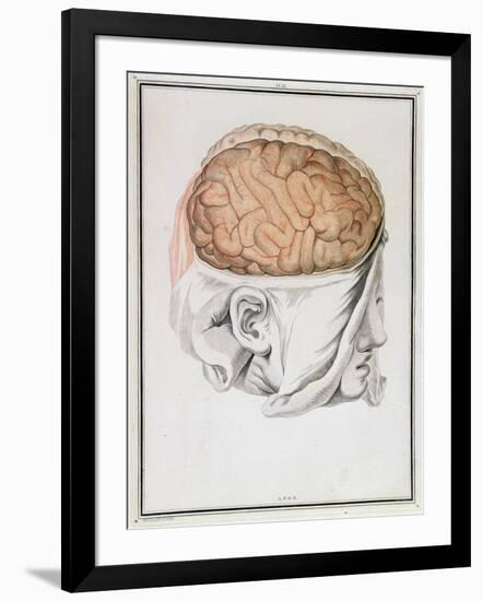 The Brain, from 'Traite D'Anatomie De Cerveau' by Felix Vicq D'Azyr (1748-94) 1786-Allais-Framed Giclee Print