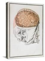 The Brain, from 'Traite D'Anatomie De Cerveau' by Felix Vicq D'Azyr (1748-94) 1786-Allais-Stretched Canvas