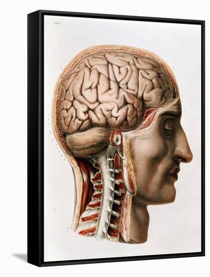 The Brain, Plate from "Traite Complet de L'Anatomie de L'Homme"  1866-67-Nicolas Henri Jacob-Framed Stretched Canvas