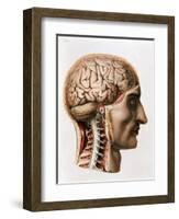 The Brain, Plate from "Traite Complet de L'Anatomie de L'Homme"  1866-67-Nicolas Henri Jacob-Framed Giclee Print