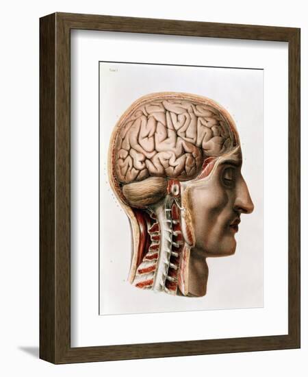 The Brain, Plate from "Traite Complet de L'Anatomie de L'Homme"  1866-67-Nicolas Henri Jacob-Framed Giclee Print