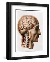 The Brain, Plate from "Traite Complet de L'Anatomie de L'Homme"  1866-67-Nicolas Henri Jacob-Framed Giclee Print