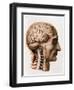 The Brain, Plate from "Traite Complet de L'Anatomie de L'Homme"  1866-67-Nicolas Henri Jacob-Framed Giclee Print