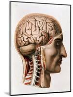 The Brain, Plate from "Traite Complet de L'Anatomie de L'Homme"  1866-67-Nicolas Henri Jacob-Mounted Giclee Print