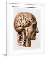 The Brain, Plate from "Traite Complet de L'Anatomie de L'Homme"  1866-67-Nicolas Henri Jacob-Framed Giclee Print