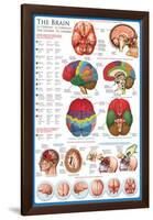 The Brain-null-Framed Poster