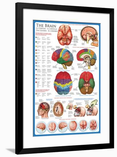 The Brain-null-Framed Poster