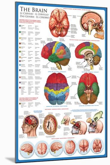 The Brain-null-Mounted Poster