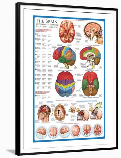 The Brain-null-Framed Premium Giclee Print